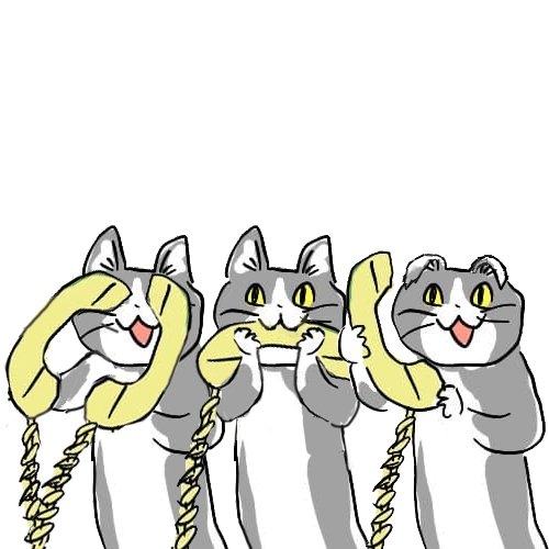 現場猫を見て癒されたい!Part10