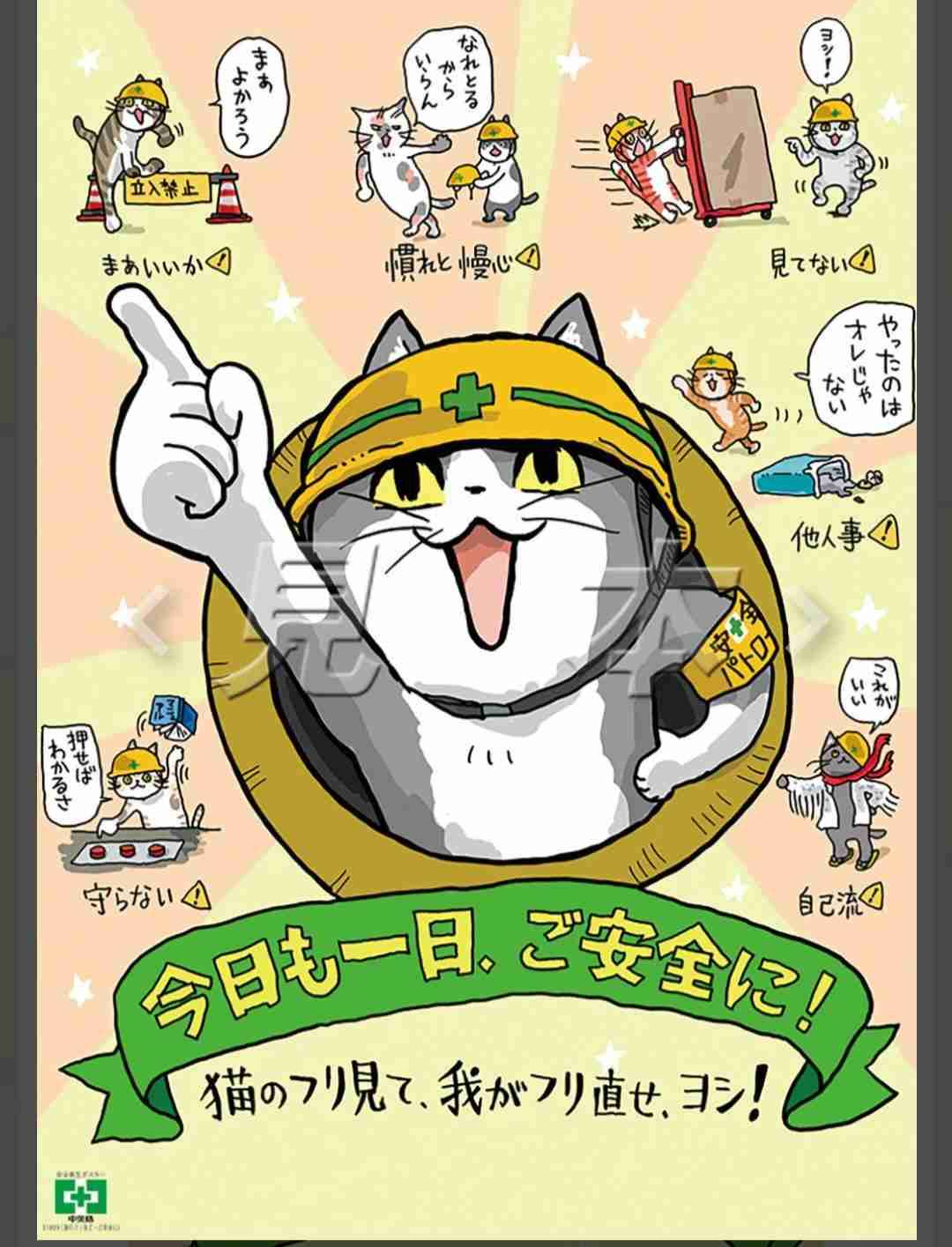 現場猫を見て癒されたい!Part10