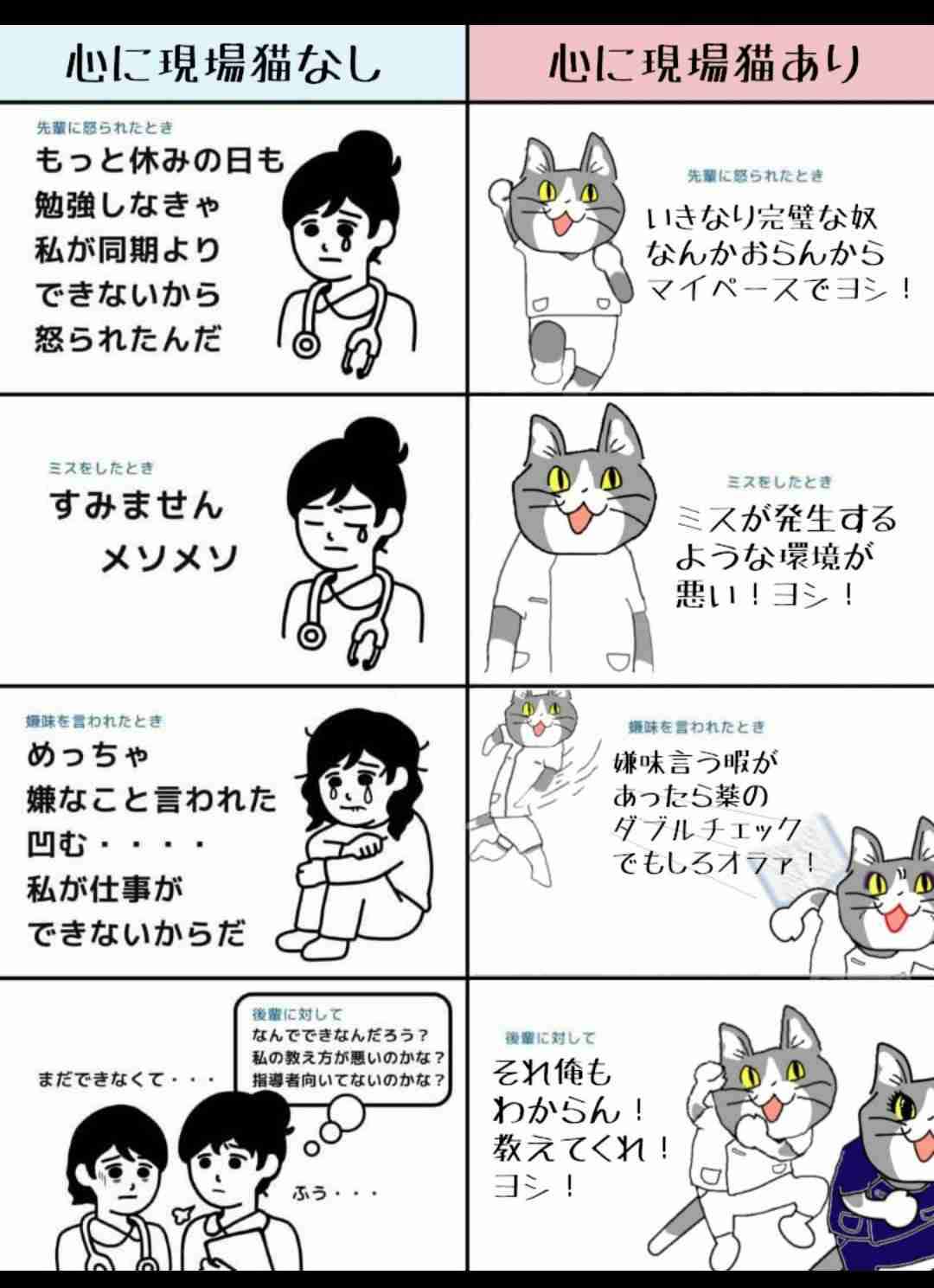 現場猫を見て癒されたい!Part10