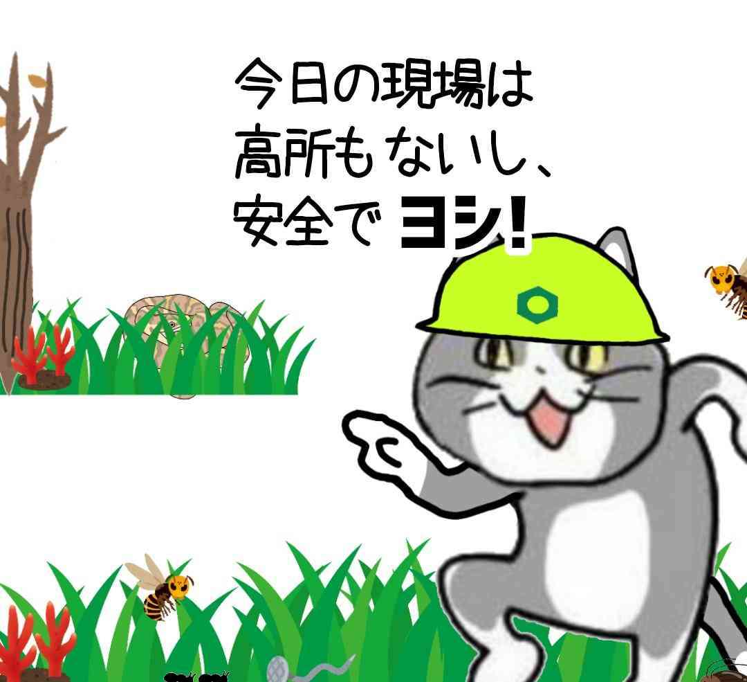 現場猫を見て癒されたい!Part10
