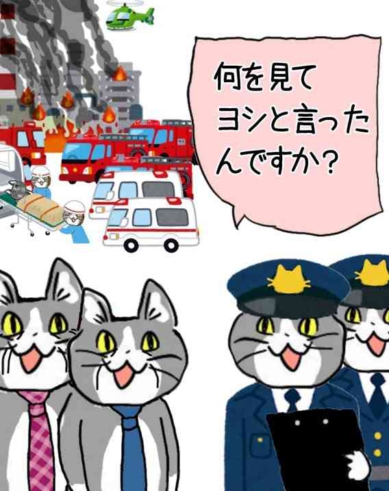 現場猫を見て癒されたい!Part10