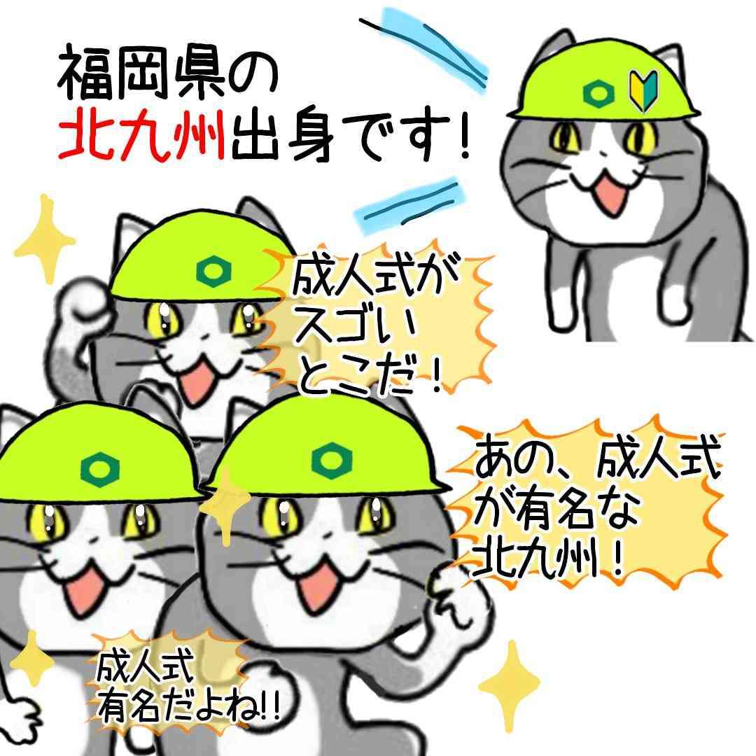 現場猫を見て癒されたい!Part10