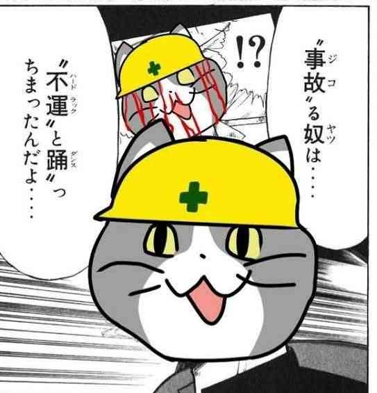 現場猫を見て癒されたい!Part10