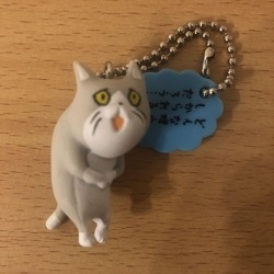現場猫を見て癒されたい!Part10