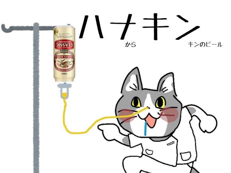 現場猫を見て癒されたい!Part10