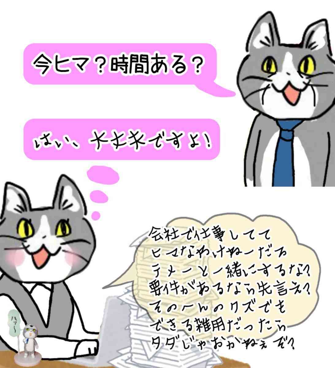 現場猫を見て癒されたい!Part10