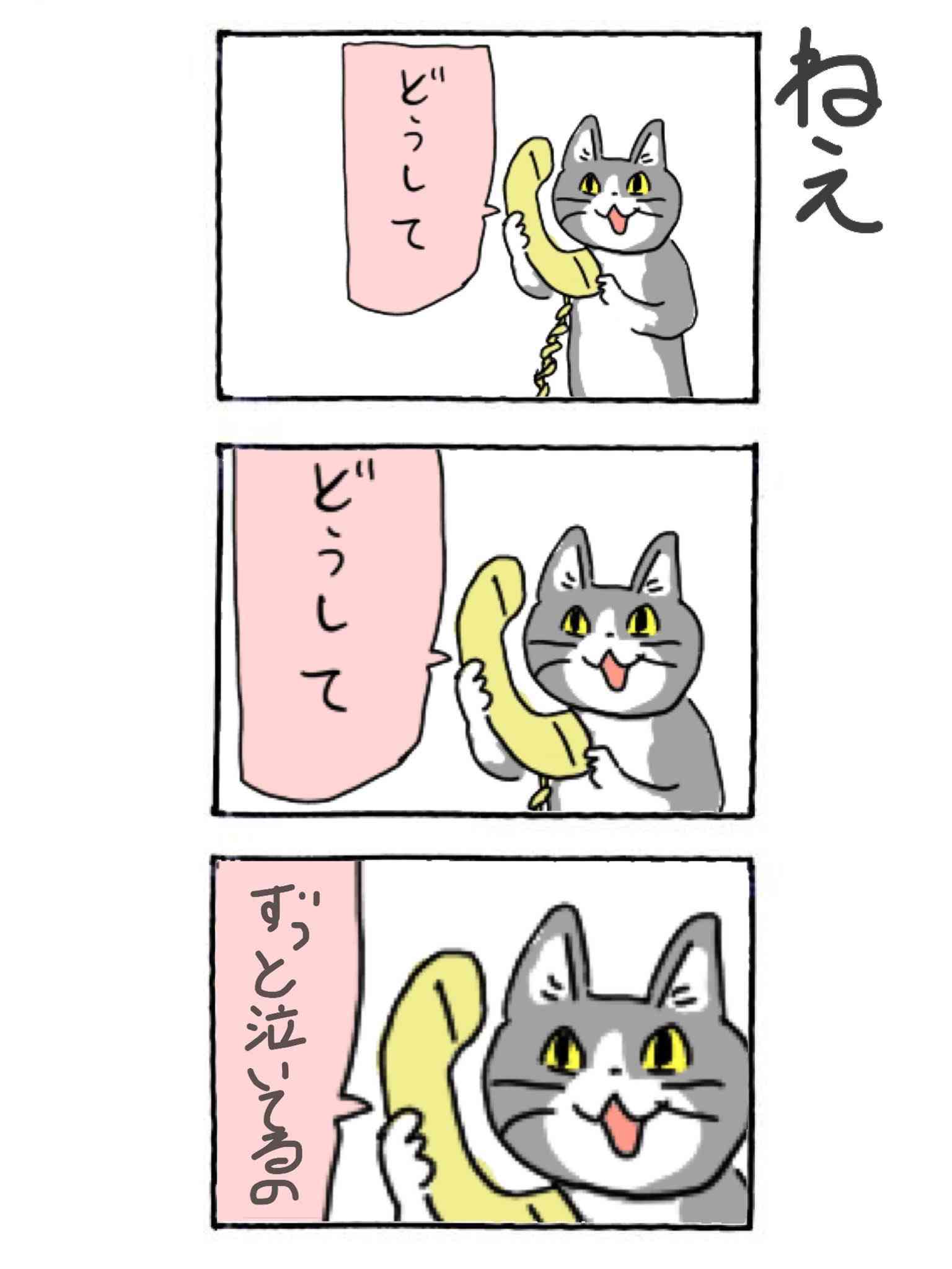 現場猫を見て癒されたい!Part10