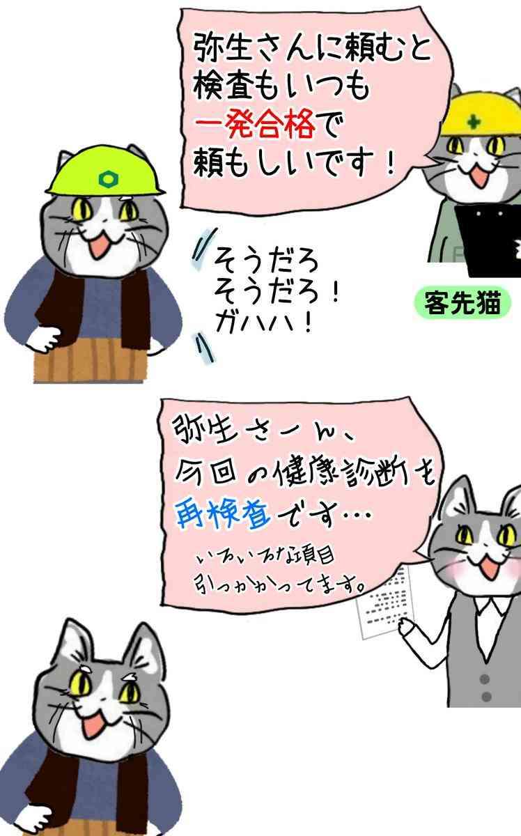 現場猫を見て癒されたい!Part10