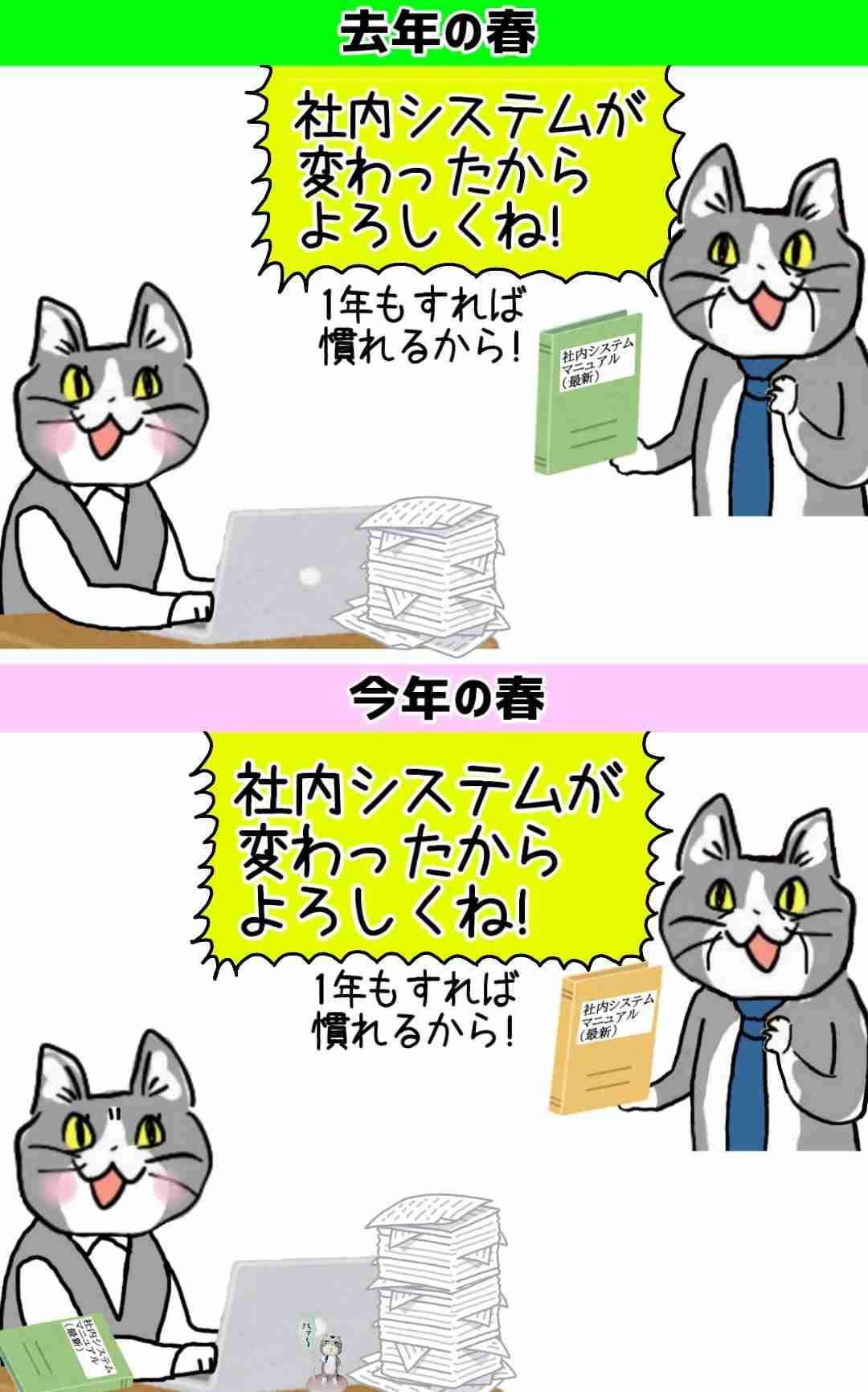 現場猫を見て癒されたい!Part10