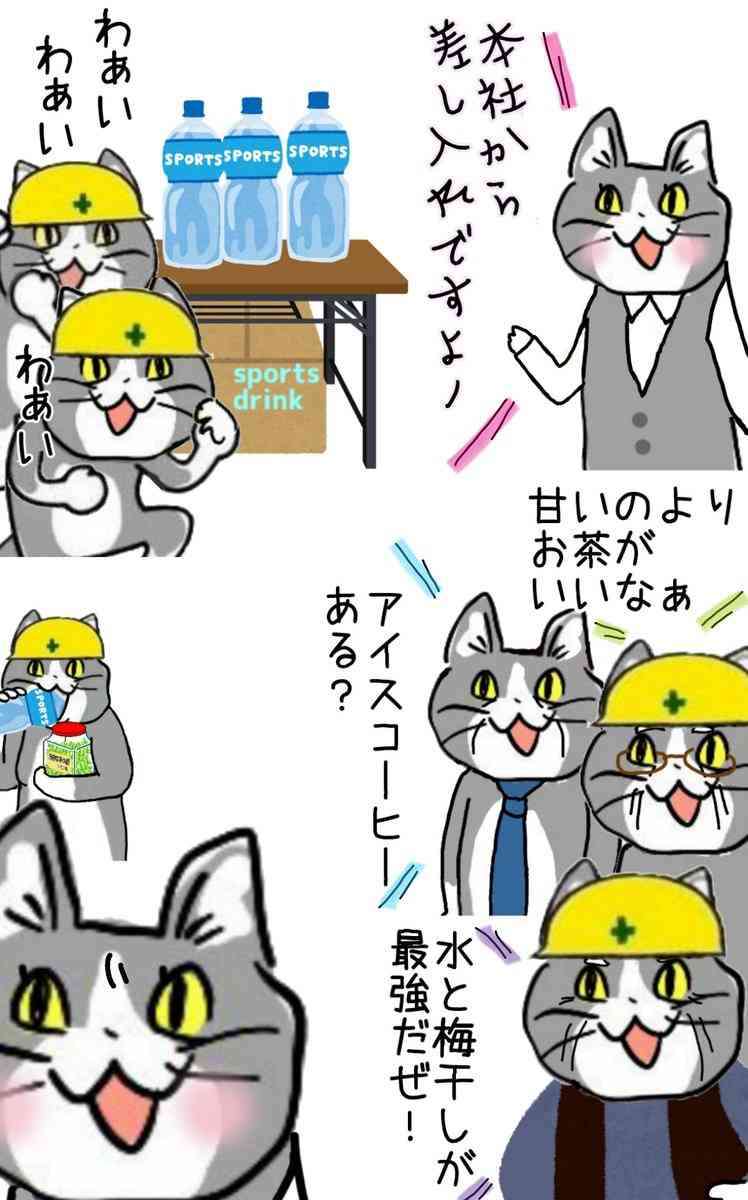 現場猫を見て癒されたい!Part10