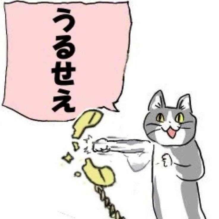 現場猫を見て癒されたい!Part10
