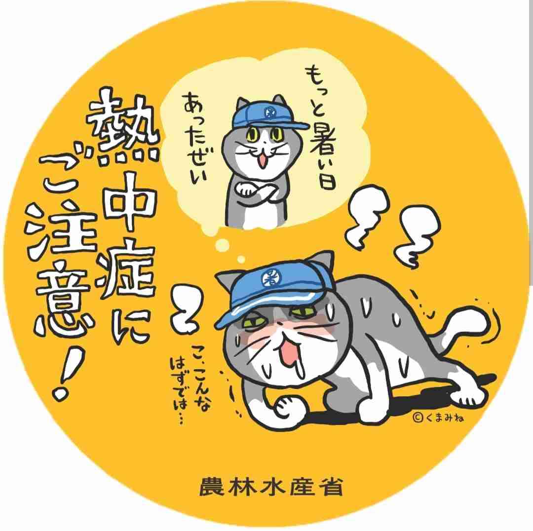現場猫を見て癒されたい!Part10