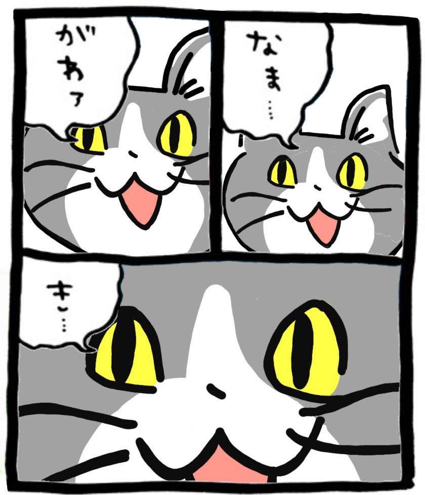 現場猫を見て癒されたい!Part10
