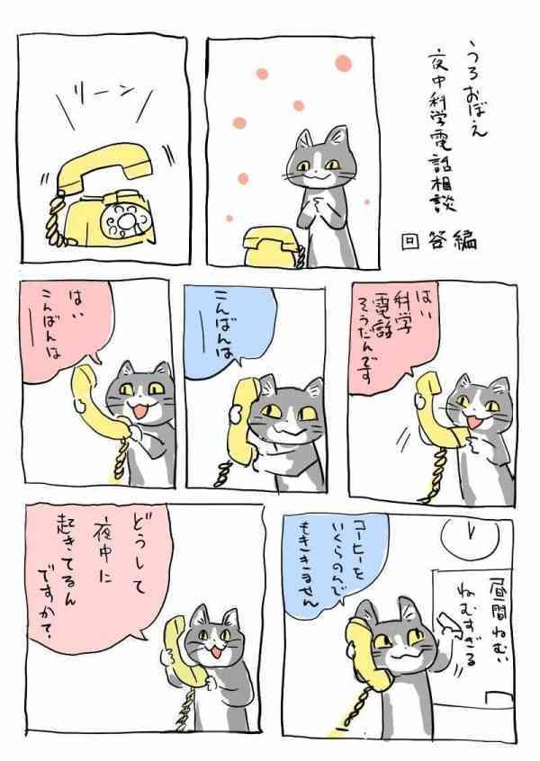 現場猫を見て癒されたい!Part10