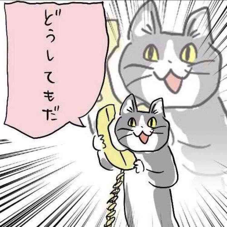 現場猫を見て癒されたい!Part10
