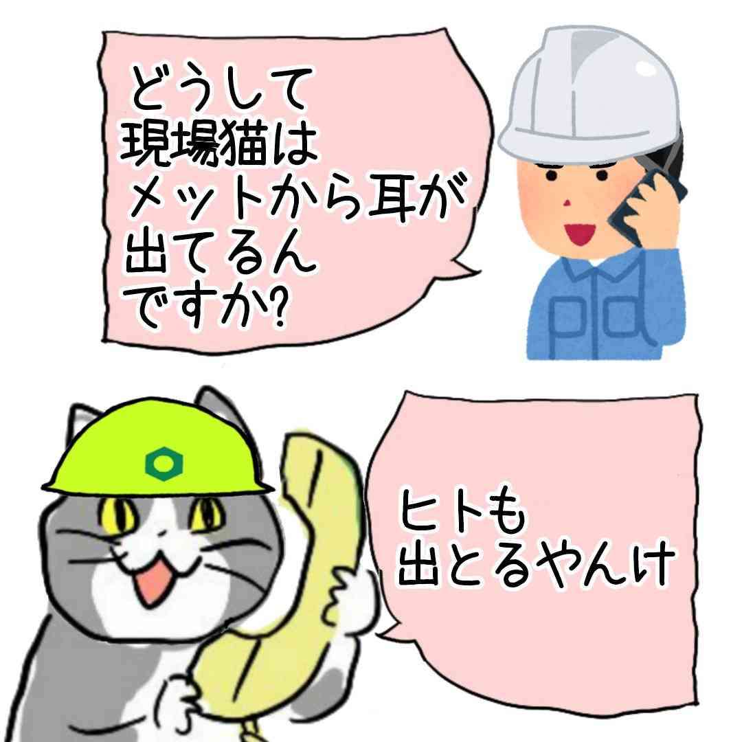 現場猫を見て癒されたい!Part10