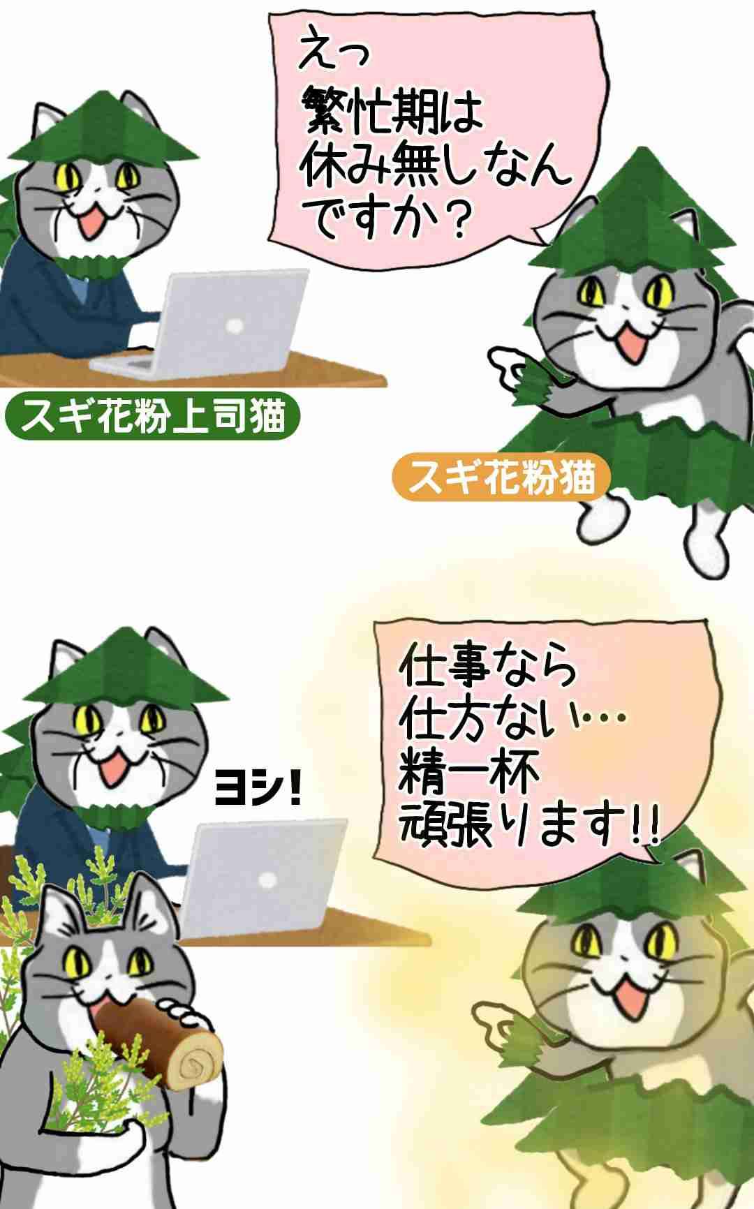 現場猫を見て癒されたい!Part10