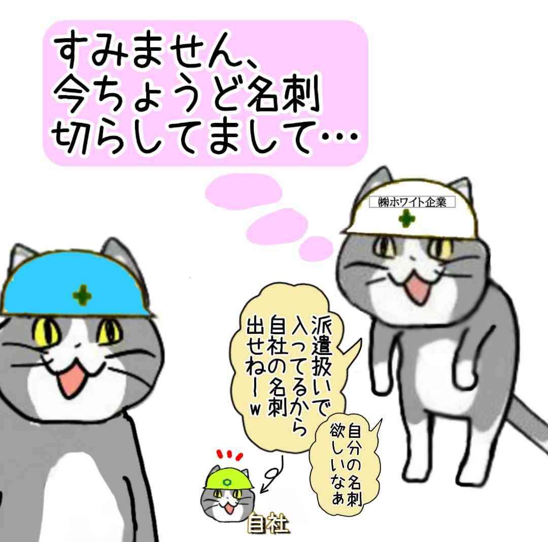 現場猫を見て癒されたい!Part10