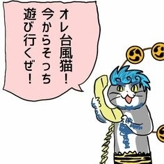 現場猫を見て癒されたい!Part10
