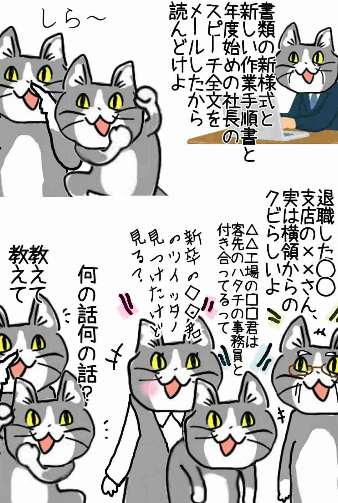 現場猫を見て癒されたい!Part10