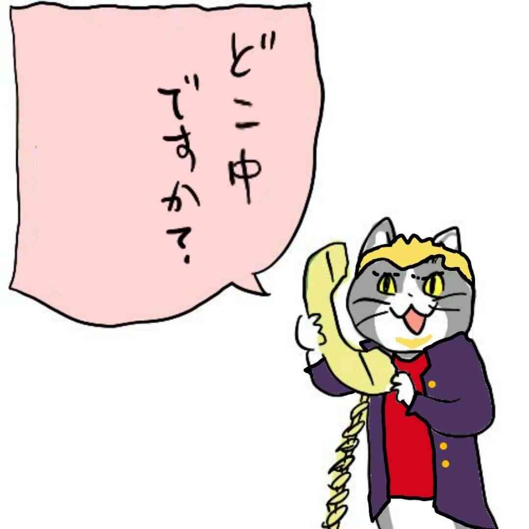 現場猫を見て癒されたい!Part10