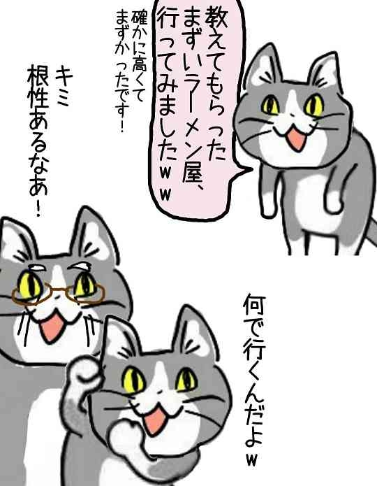 現場猫を見て癒されたい!Part10