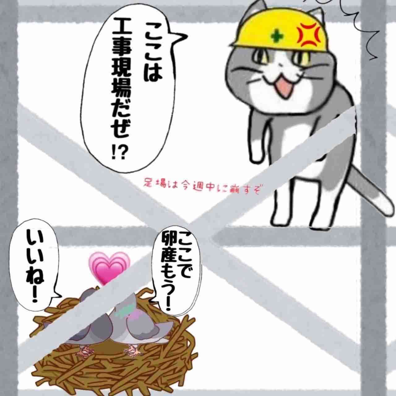現場猫を見て癒されたい!Part10