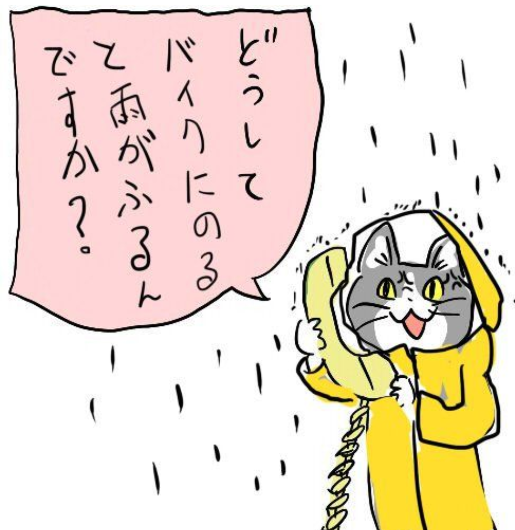 現場猫を見て癒されたい!Part10