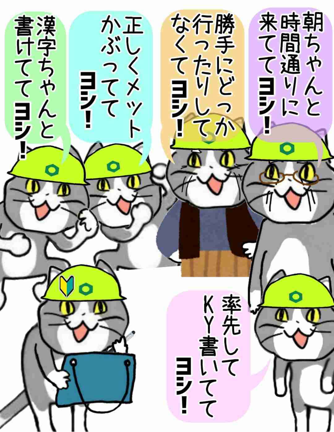 現場猫を見て癒されたい!Part10