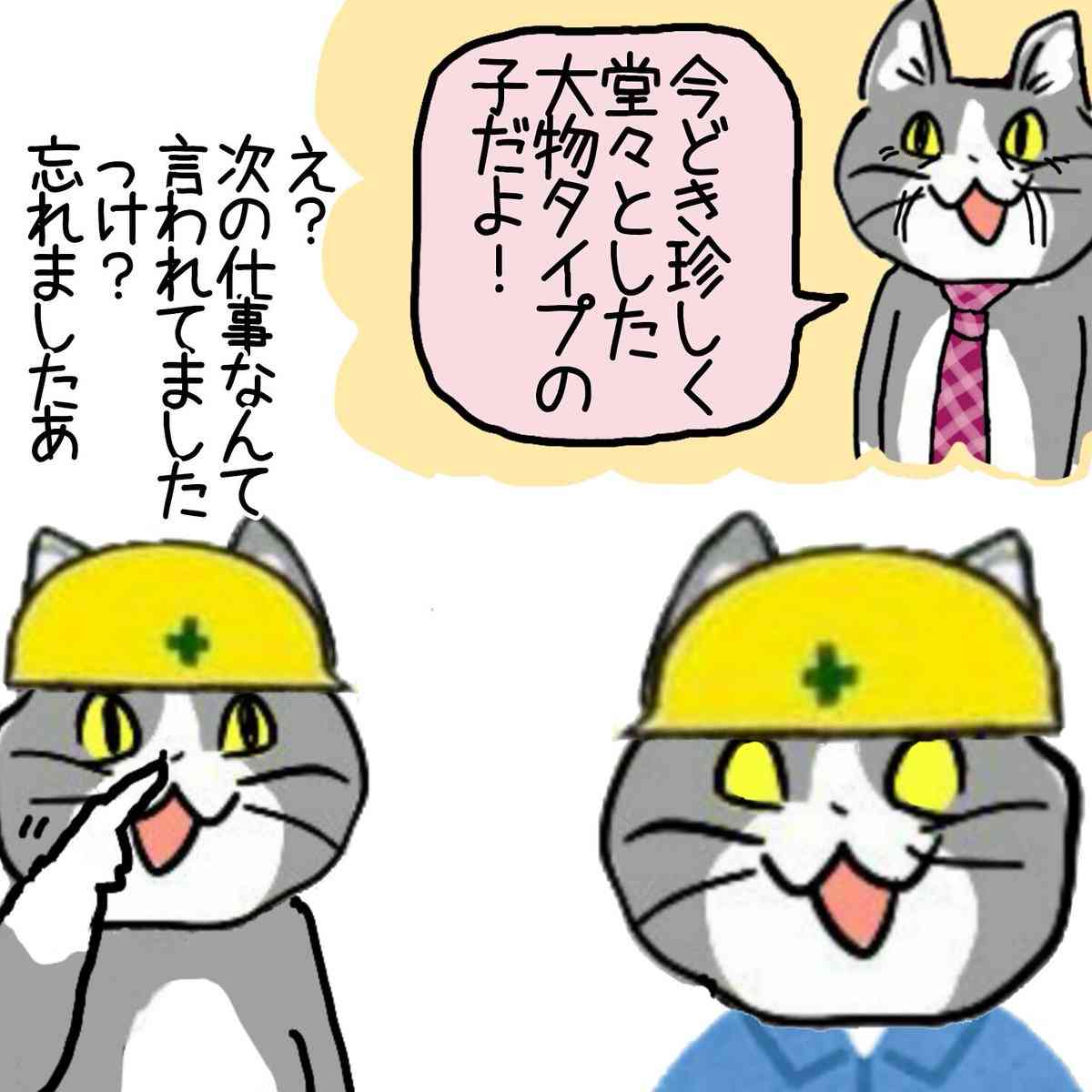 現場猫を見て癒されたい!Part10