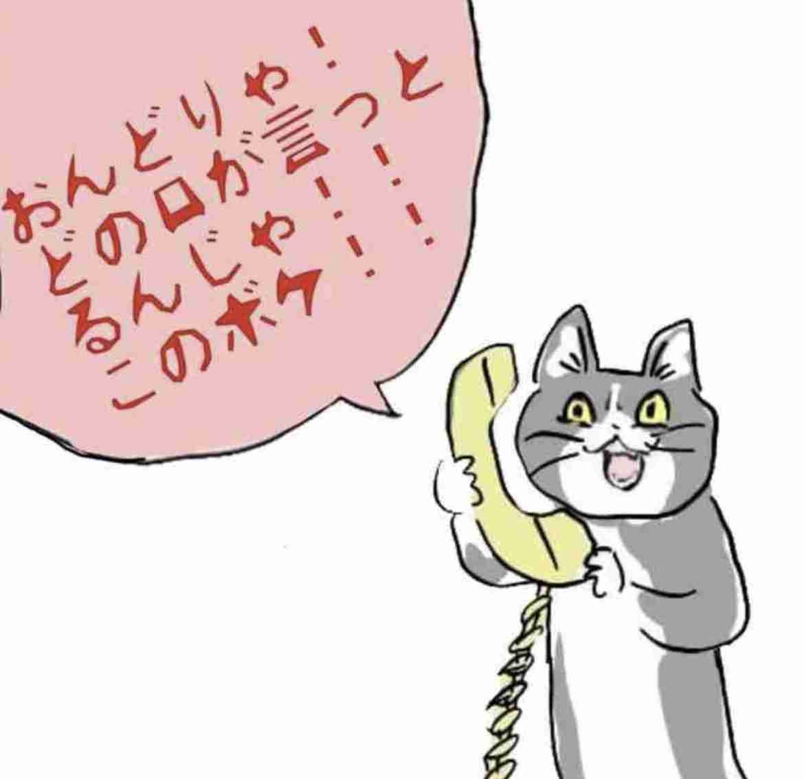 現場猫を見て癒されたい!Part10