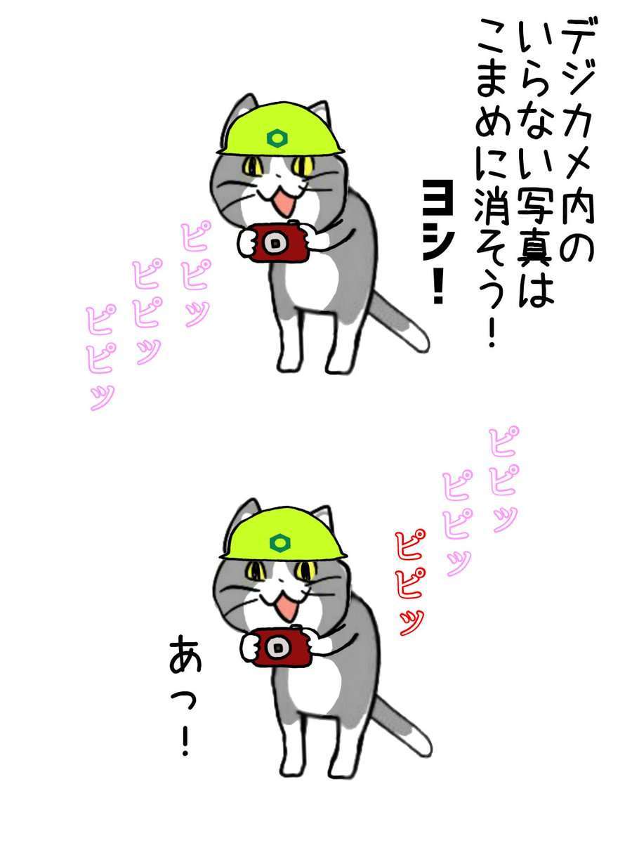 現場猫を見て癒されたい!Part10