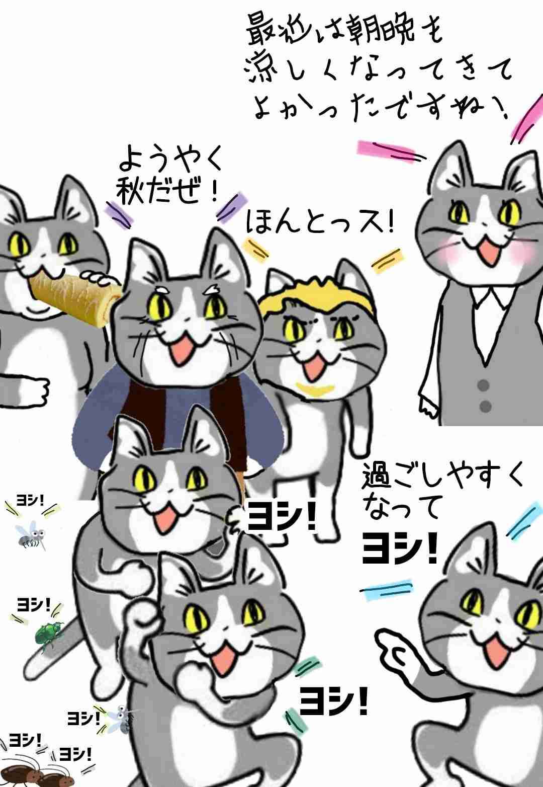 現場猫を見て癒されたい!Part10
