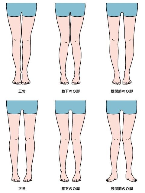 目指せ、美脚!