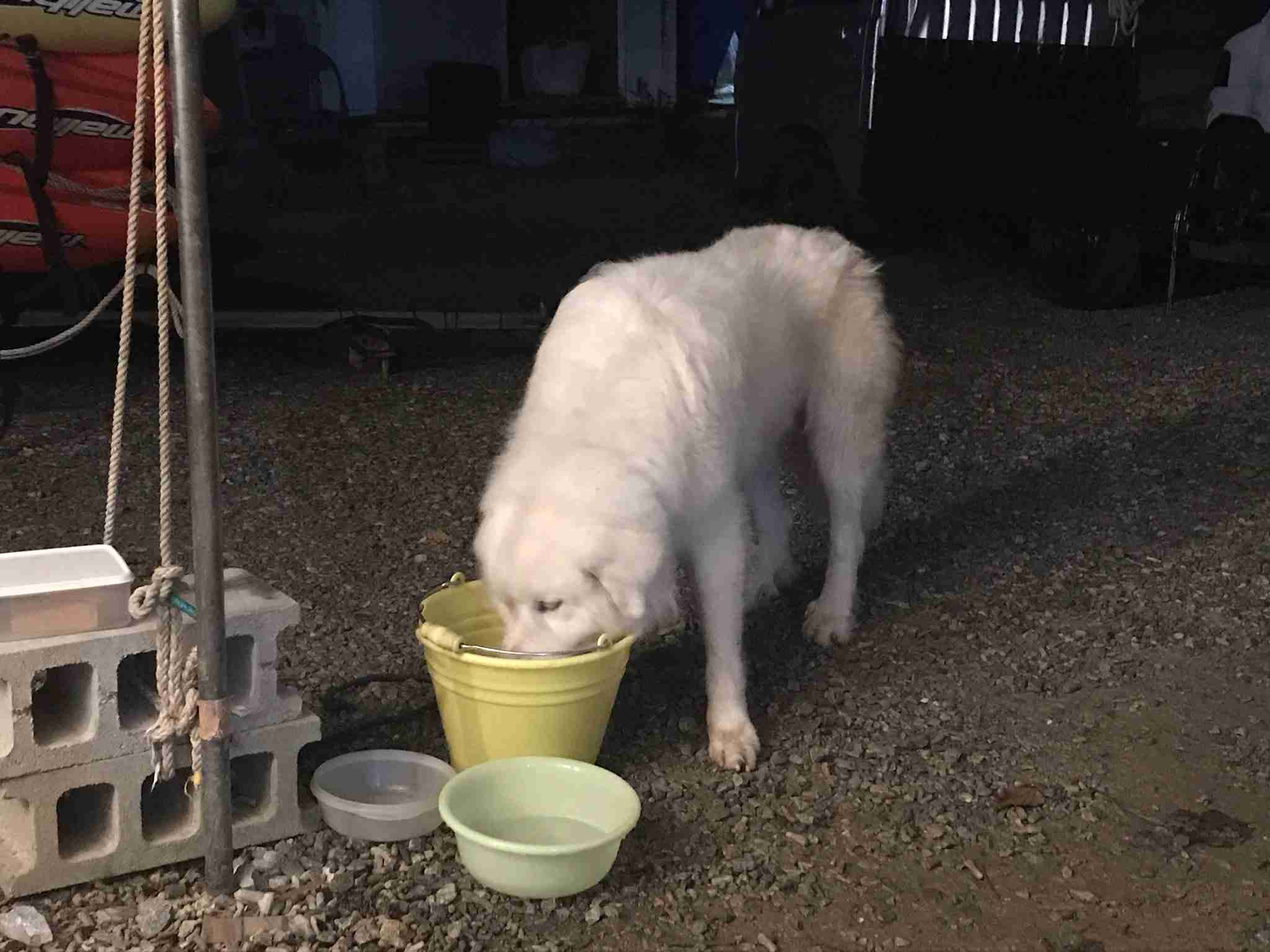 玉城知事、沖縄の平和教育は「偏向的でない」と反論　辺野古沖事故で黙とう