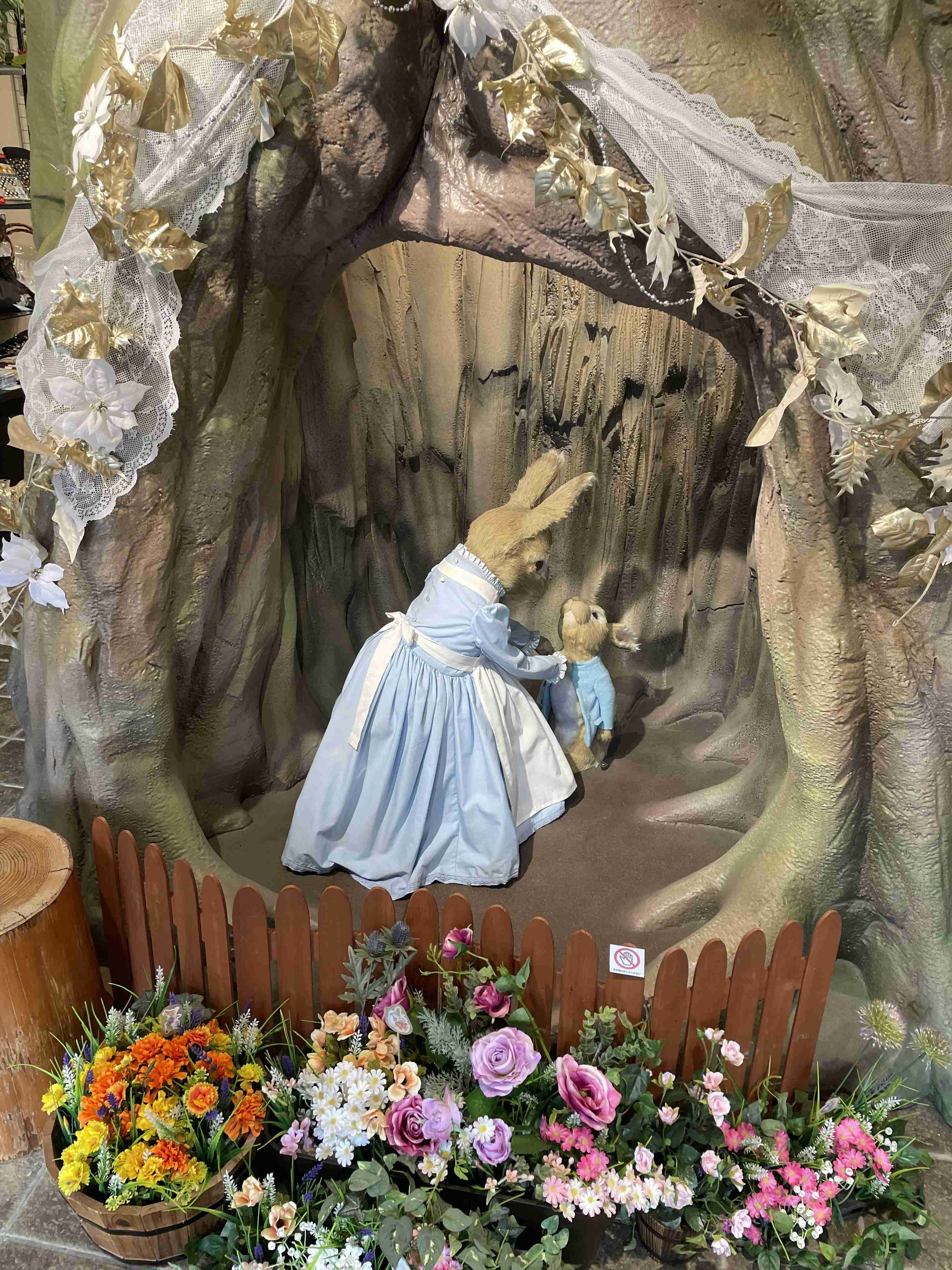 ピーターラビット好きな人！