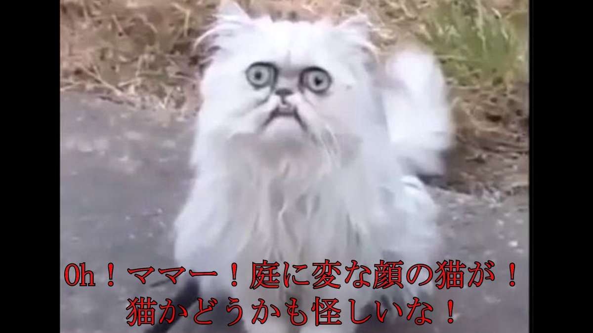 個人的に好きだったネットミーム