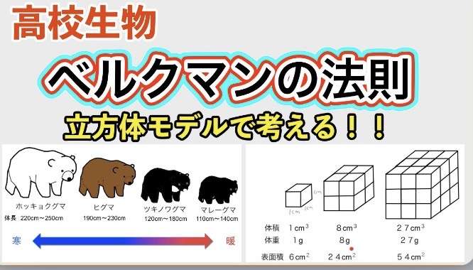 「東京に染まってしまったな」王林　“ハイレグ”ジーパン姿に賛否…“パリピ生活”報道で崩壊した“青森”キャラ