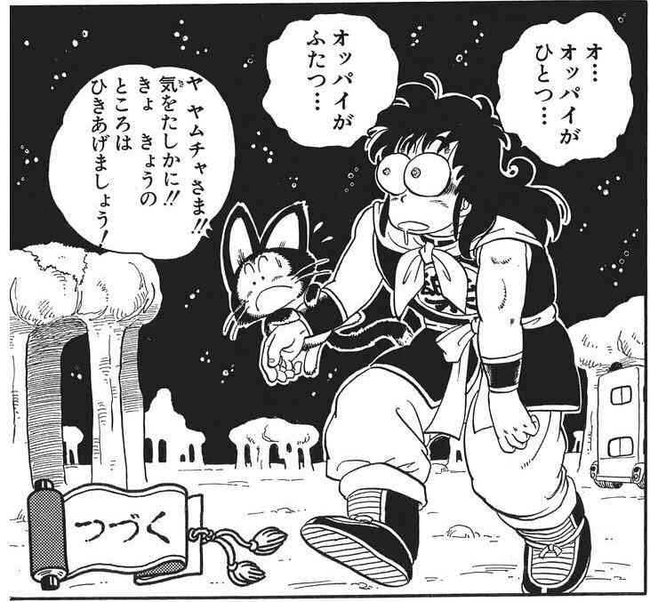 貧乳超えて無乳の人