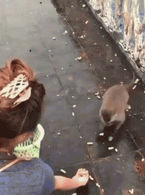 やけ食いしたことありますか