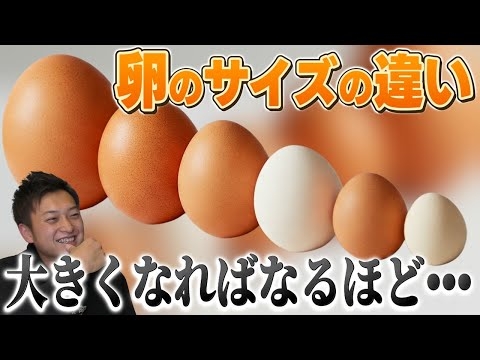 おばさんになってよかったことはスーパーで高めの卵を買うか迷ってる人に「178円の特売あるよ」と教えてあげられたこと→何故か賛否両論になる「気持ちだけ受け取ればいいのでは？」
