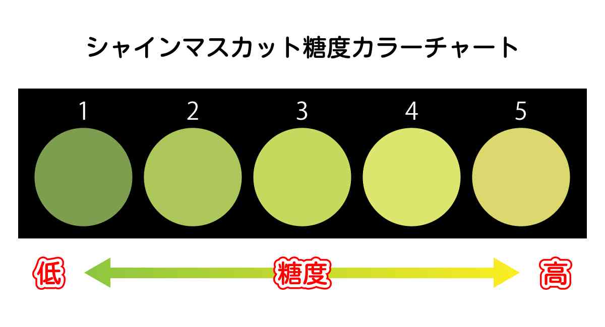 おばさんになってよかったことはスーパーで高めの卵を買うか迷ってる人に「178円の特売あるよ」と教えてあげられたこと→何故か賛否両論になる「気持ちだけ受け取ればいいのでは？」