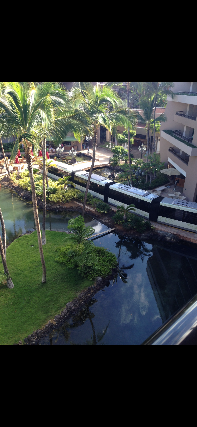 新婚旅行どこへ行きましたか？