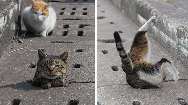 今更ハマるなんて