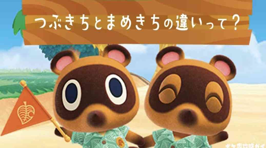 たぬき!狸!Tanuki!Part8