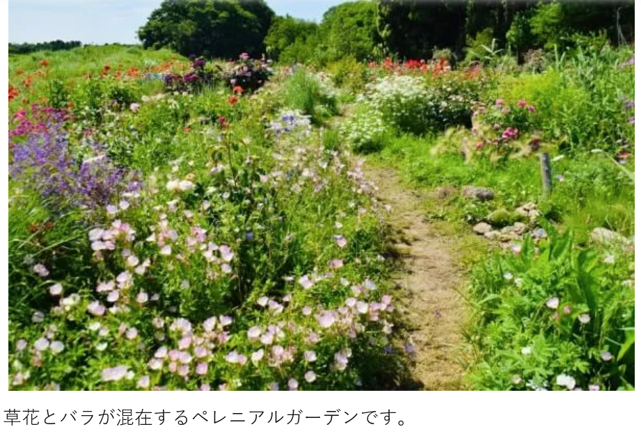 好きなガーデン・植物園