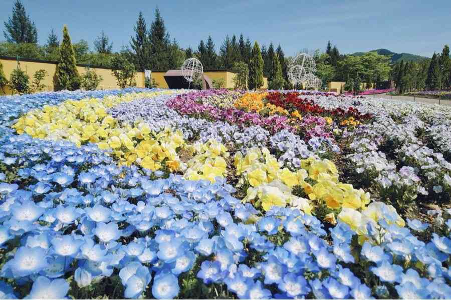 好きなガーデン・植物園