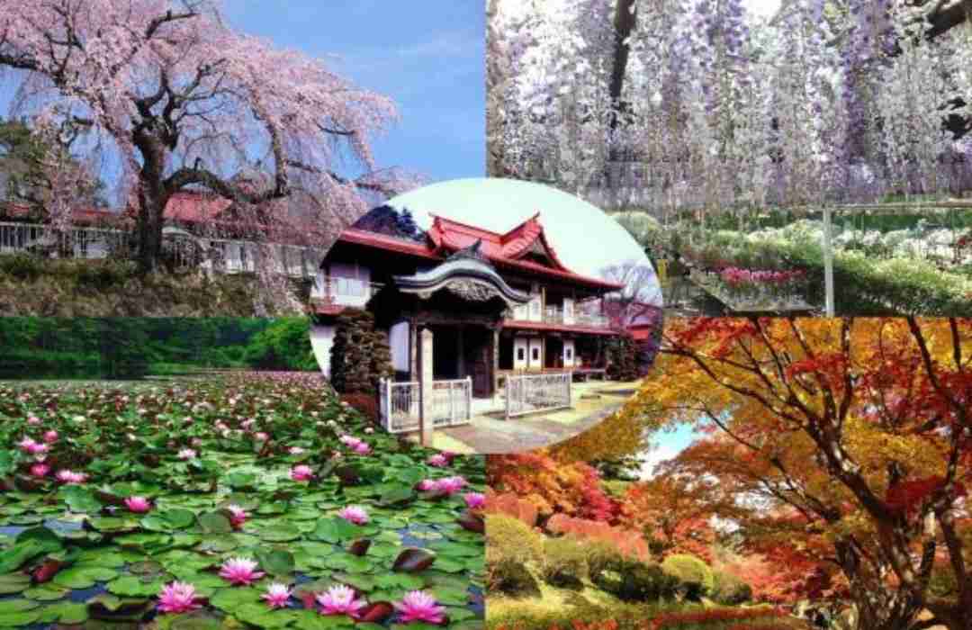 好きなガーデン・植物園
