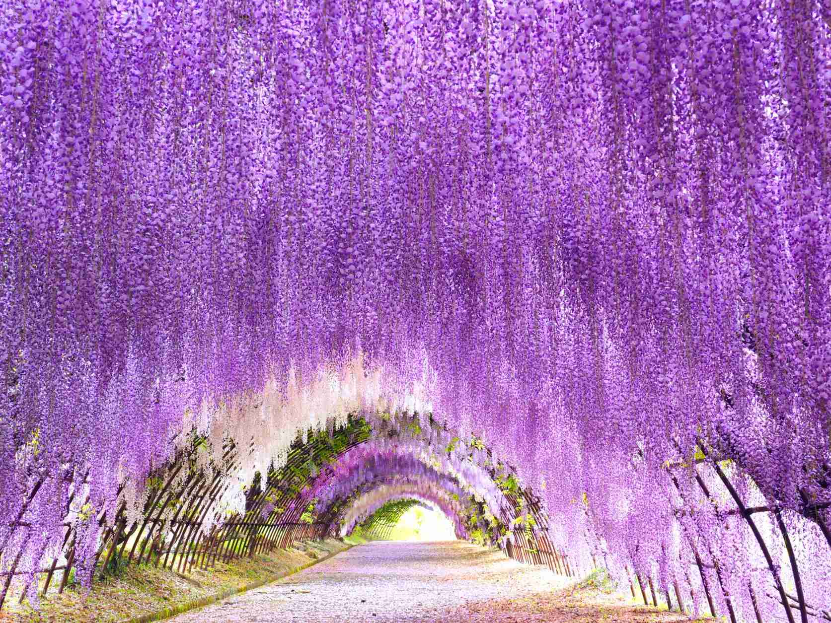 好きなガーデン・植物園