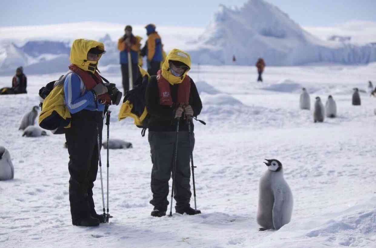 コメントを付けて動物の画像を貼っていくトピ